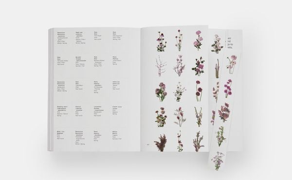 Produktbild: Flower Colour Guide
