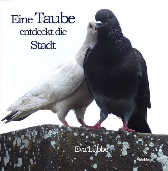 Produktbild: Eine Taube entdeckt die Stadt