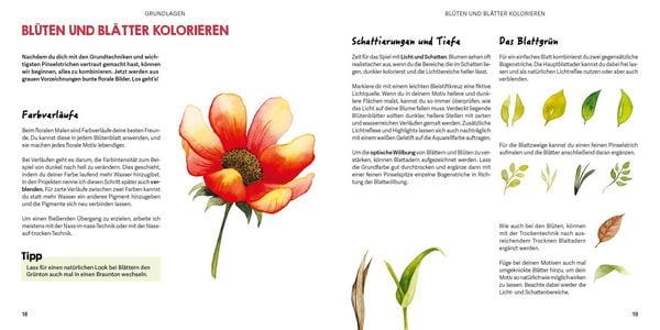 Produktbild: Mini Watercolor &ndash; Blumen
