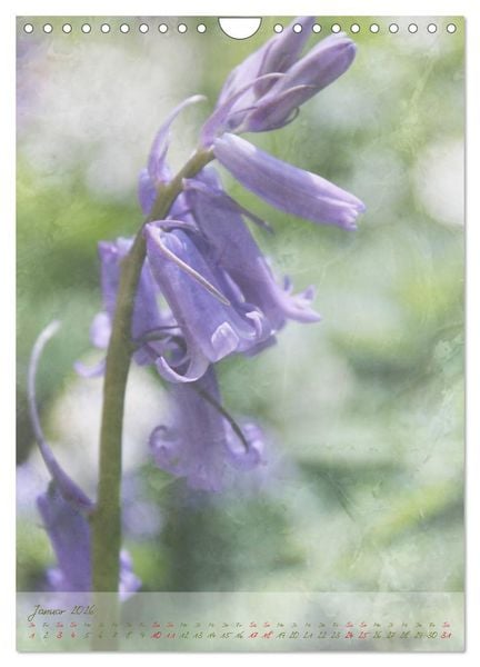 Produktbild: Vintage Flowers (Wandkalender 2026 DIN A4 hoch), CALVENDO Monatskalender