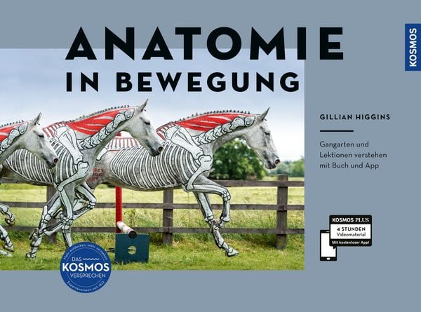 Produktbild: Anatomie in Bewegung