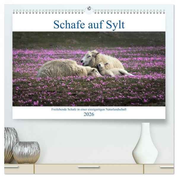 Produktbild: Schafe auf Sylt (hochwertiger Premium Wandkalender 2026 DIN A2 quer), Kunstdruck in Hochglanz
