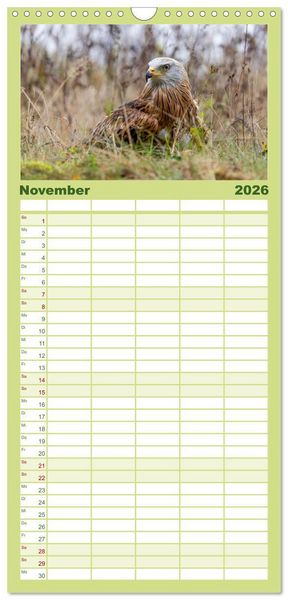 Produktbild: Familienplaner 2026 - Europas Greifv&ouml;gel und Eulen mit 5 Spalten (Wandkalender, 21 x 45 cm) CALVENDO
