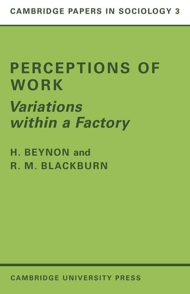 Produktbild: Perceptions of Work