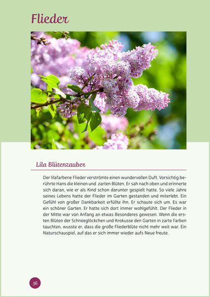 Produktbild: Kurzaktivierungen ohne Material. Last-Minute-Ideen f&uuml;r den Fr&uuml;hling