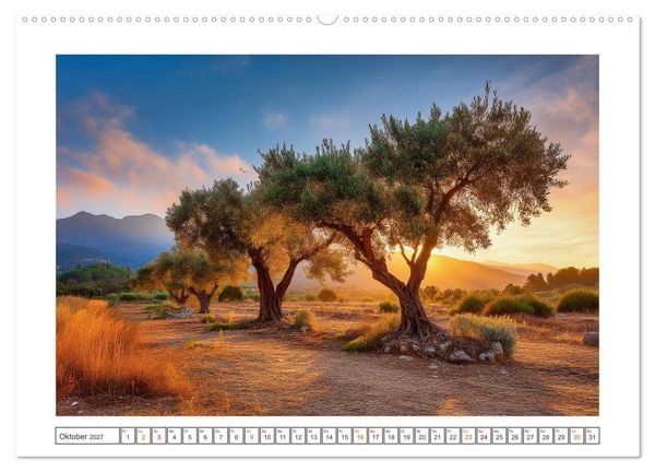 Produktbild: Die Magie der Olivenhaine (Wandkalender 2027 DIN A2 quer), CALVENDO Monatskalender