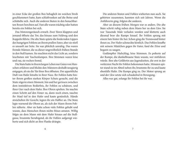 Produktbild: Elena – Ein Leben für Pferde 2: Sommer der Entscheidung