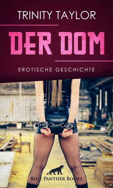 Produktbild: Der Dom | Erotische Geschichte