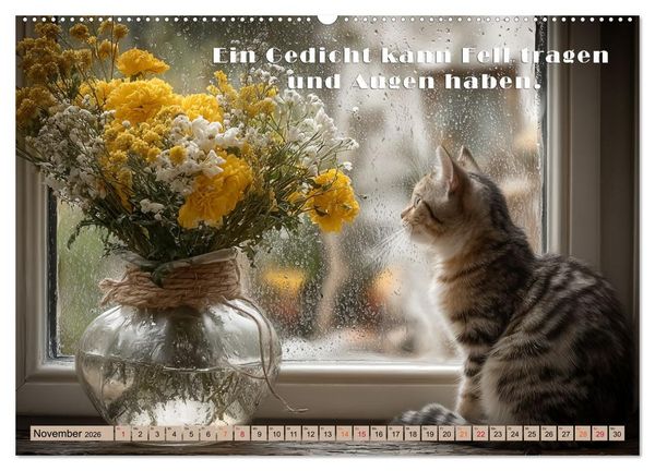 Produktbild: Miau-velous Pfotenpoesie (hochwertiger Premium Wandkalender 2026 DIN A2 quer), Kunstdruck in Hochglanz
