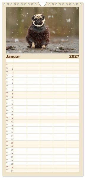 Produktbild: Familienplaner 2027 - Lustige M&ouml;pse aus der Hundeknipserei mit 5 Spalten (Wandkalender, 21 x 45 cm) CALVENDO