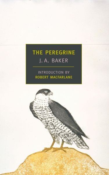 The Peregrine, Taschenbuch von J. A. Baker, New York Review Of Books, 9781590171332