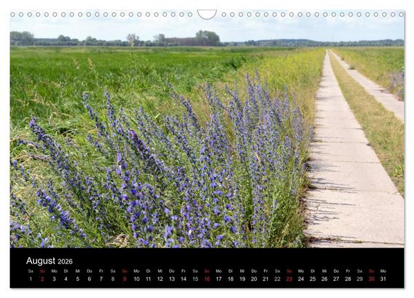 Produktbild: Vier Jahreszeiten im Havelland (Wandkalender 2026 DIN A3 quer), CALVENDO Monatskalender