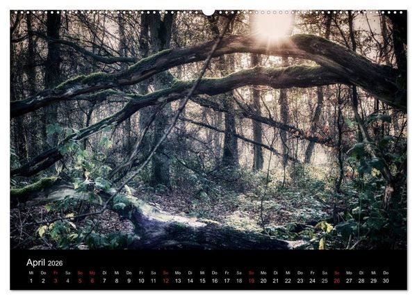 Produktbild: Mystische W&auml;lder (Wandkalender 2026 DIN A2 quer), CALVENDO Monatskalender
