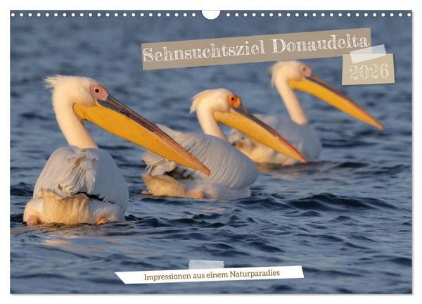 Sehnsuchtsziel Donaudelta (Wandkalender 2026 DIN A3 quer), CALVENDO Monatskalender