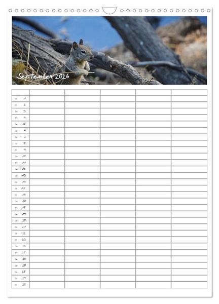Produktbild: Kalifornien - Familienplaner 2026 (Wandkalender 2026 DIN A3 hoch), CALVENDO Monatskalender