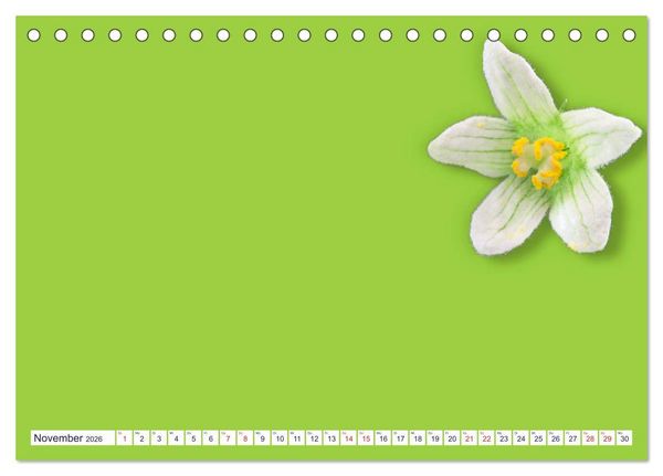 Produktbild: DIY POESIE - BASTELKALENDER (Tischkalender 2026 DIN A5 quer), CALVENDO Monatskalender