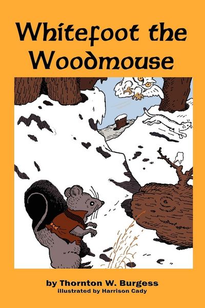 Produktbild: Whitefoot the Woodmouse
