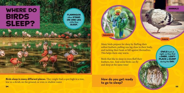 Produktbild: Little Kids First Big Book of Where