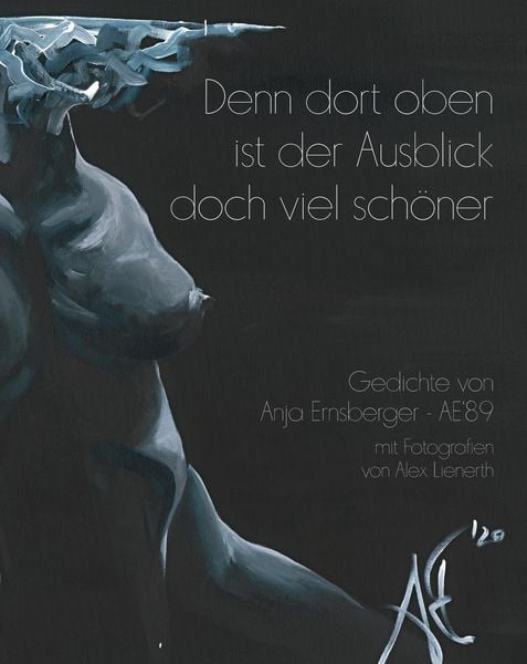 Denn dort oben ist der Ausblick doch viel schöner, Taschenbuch von Anja Ernsberger, Tredition, 9783347996885