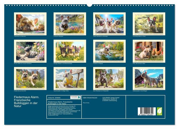 Produktbild: Fledermaus Alarm. Franz&ouml;siche Bulldoggen in der Natur (hochwertiger Premium Wandkalender 2026 DIN A2 quer), Kunstdruck in Hochglanz