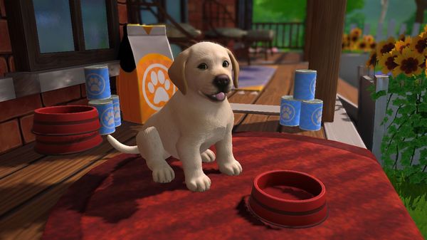 Produktbild: Little Friends - Puppy Island: Die Insel der Welpen (CIAB)