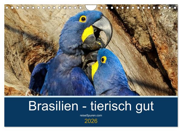 Produktbild: Brasilien tierisch gut 2026 (Wandkalender 2026 DIN A4 quer), CALVENDO Monatskalender