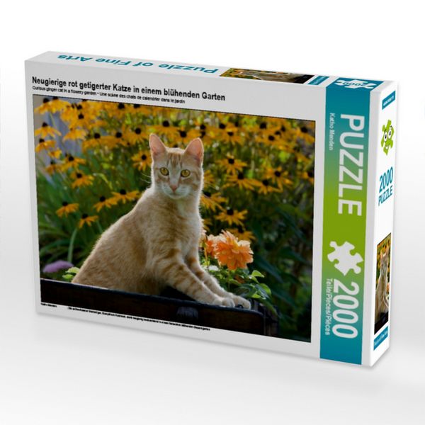 CALVENDO Puzzle Neugierige rot getigerter Katze in einem blühenden Garten | 2000 Teile Lege-Größe 90x67cm Foto-Puzzle für glückliche Stunden