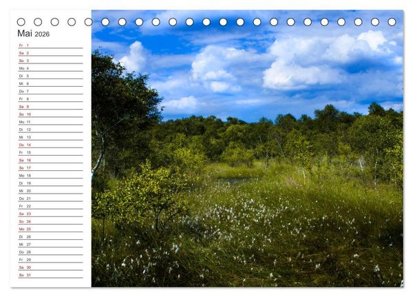 Produktbild: Worpswede - Natursch&ouml;nheiten im Teufelsmoor (Tischkalender 2026 DIN A5 quer), CALVENDO Monatskalender