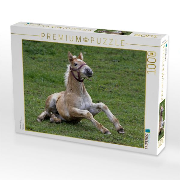 Produktbild: CALVENDO Puzzle J&uuml;tl&auml;nder-Fohlen | 1000 Teile Lege-Gr&ouml;&szlig;e 64x48cm Foto-Puzzle f&uuml;r gl&uuml;ckliche Stunden
