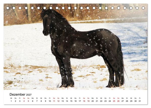 Produktbild: Friesen - Kraft und Eleganz (Tischkalender 2027 DIN A5 quer), CALVENDO Monatskalender