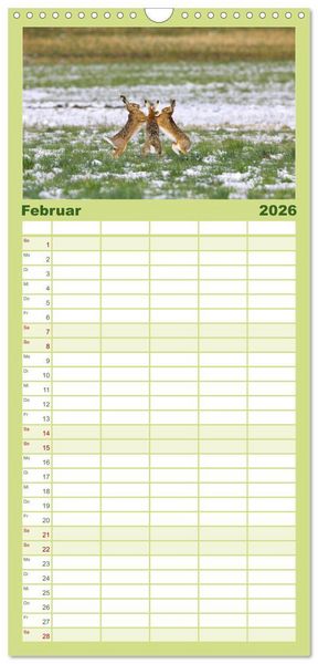 Produktbild: Familienplaner 2026 - Feldhasen in H&ouml;chstform mit 5 Spalten (Wandkalender, 21 x 45 cm) CALVENDO