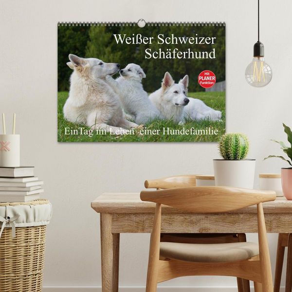 Produktbild: Wei&szlig;er Schweizer Sch&auml;ferhund - Ein Tag im Leben einer Hundefamilie (Wandkalender 2026 DIN A3 quer), CALVENDO Monatskalender