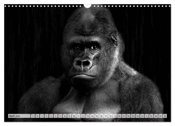 Produktbild: Wilde Tiere in schwarz-wei&szlig; (Wandkalender 2026 DIN A3 quer), CALVENDO Monatskalender