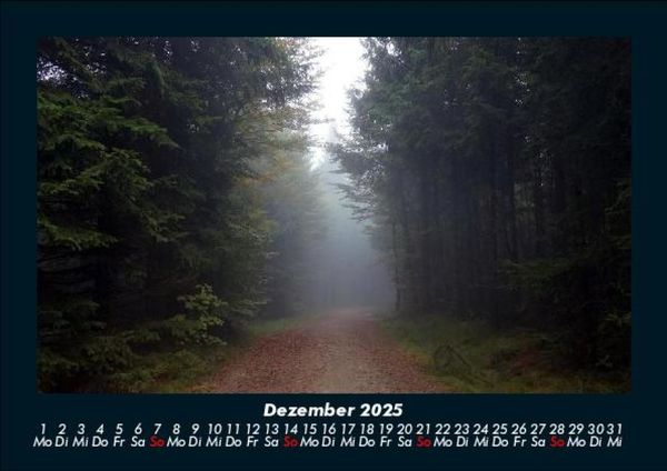 Produktbild: Waldzauber 2025 Fotokalender DIN A5