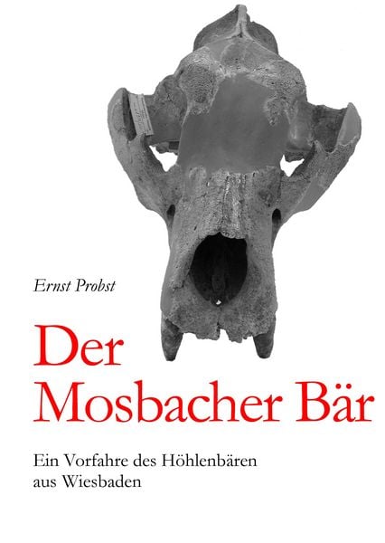 Produktbild: Der Mosbacher B&auml;r