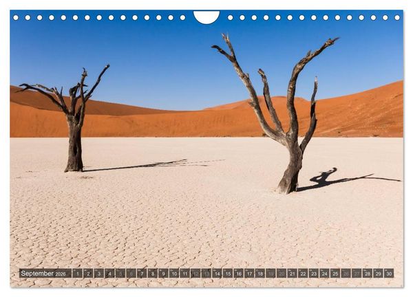 Produktbild: Wildes Namibia (Wandkalender 2026 DIN A4 quer), CALVENDO Monatskalender
