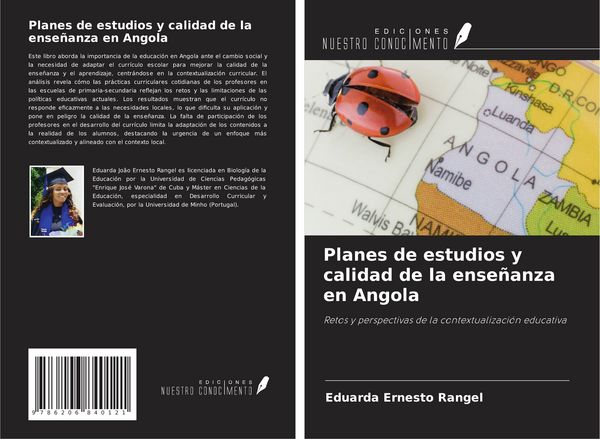 Produktbild: Planes de estudios y calidad de la ense&ntilde;anza en Angola