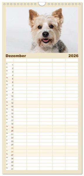 Produktbild: Familienplaner 2026 - Kleine Hunde - Gro&szlig;e Blicke mit 5 Spalten (Wandkalender, 21 x 45 cm) CALVENDO