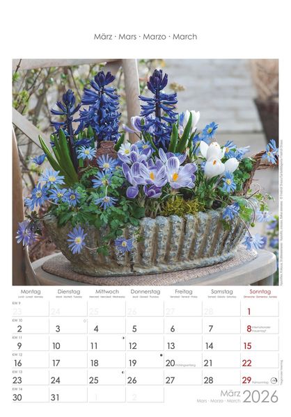 Blumen 2026 - Bildkalender 23,7x34 cm - Kalender mit Platz für Notizen - mit vielen Zusatzinformationen - Wandkalender - Blumenkalender