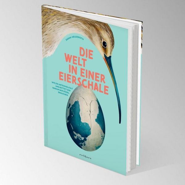 Produktbild: Die Welt in einer Eierschale