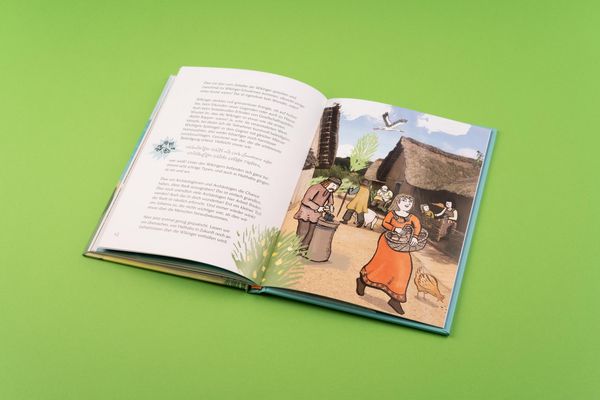Produktbild: Wilde Wikinger in Sicht