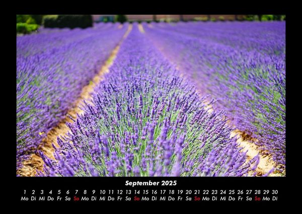 Produktbild: Blumenzauber 2025 Fotokalender DIN A3