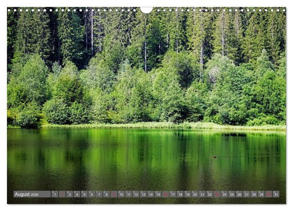 Produktbild: Schwarzwald-Wanderungen (Wandkalender 2026 DIN A3 quer), CALVENDO Monatskalender