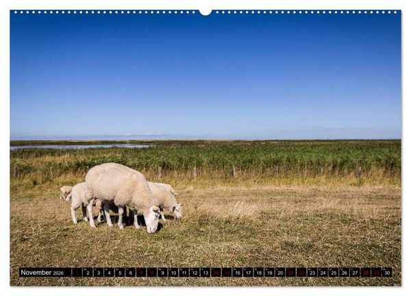 Produktbild: Insel Fehmarn - Impressionen eines Sommertages an der Ostsee (Wandkalender 2026 DIN A2 quer), CALVENDO Monatskalender