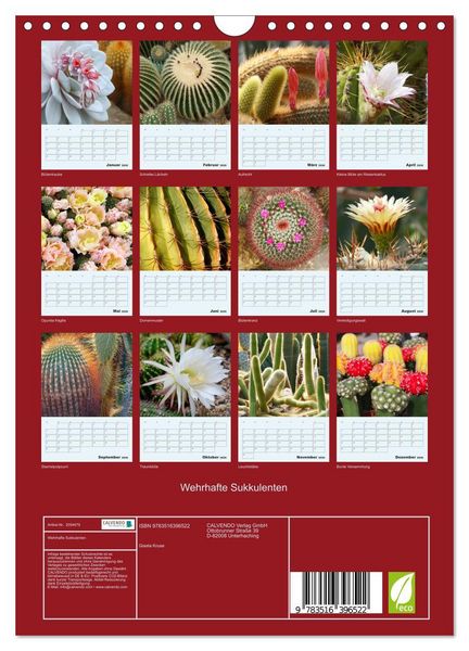Produktbild: Wehrhafte Sukkulenten (Wandkalender 2026 DIN A4 hoch), CALVENDO Monatskalender