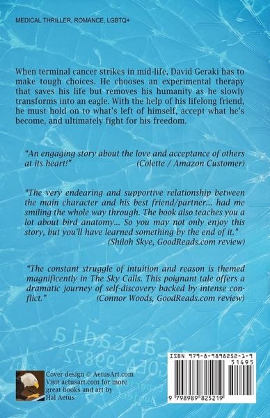 Produktbild: The Sky Calls