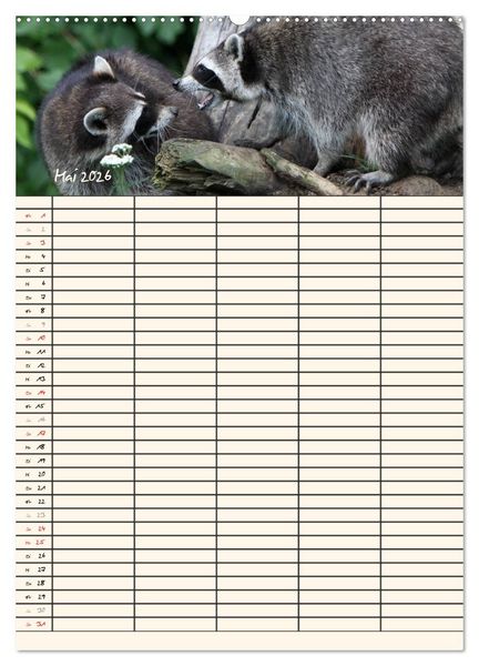 Produktbild: Waschb&auml;ren Familienplaner (Wandkalender 2026 DIN A2 hoch), CALVENDO Monatskalender