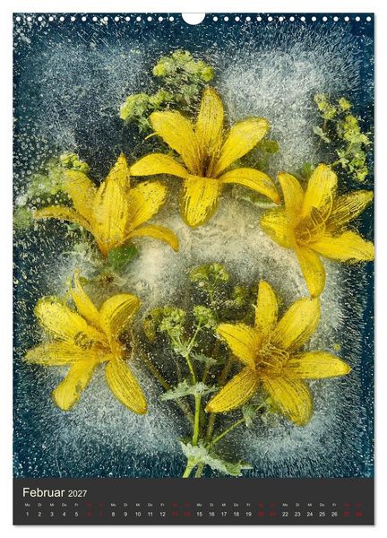 Produktbild: Magische Eisblumen (Wandkalender 2027 DIN A3 hoch), CALVENDO Monatskalender