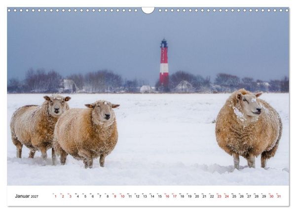 Produktbild: Pellwormer Ogenblicke, ein Streifzug durch ein Inseljahr (Wandkalender 2027 DIN A3 quer), CALVENDO Monatskalender