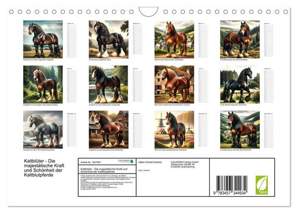Produktbild: Kaltbl&uuml;ter - Die majest&auml;tische Kraft und Sch&ouml;nheit der Kaltblutpferde (Wandkalender 2026 DIN A4 quer), CALVENDO Monatskalender